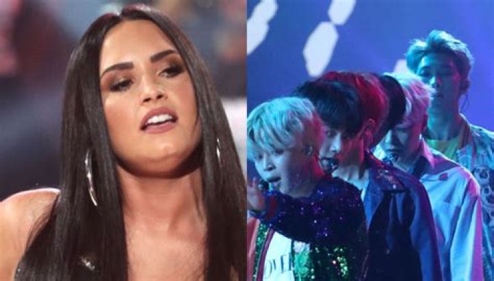Are Demi Lovato & BTS Feuding After The AMAs? Why Their Fans Are Going Wild After The Award Show