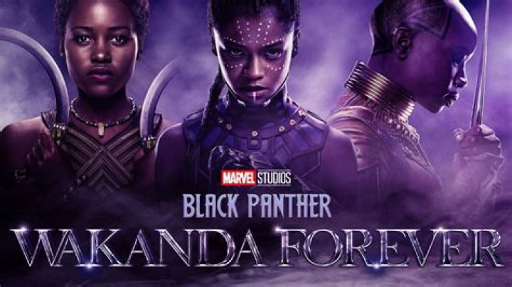 Black Panther New Suit Revealed In ‘Wakanda Forever’ Trailer – Hollywood Life