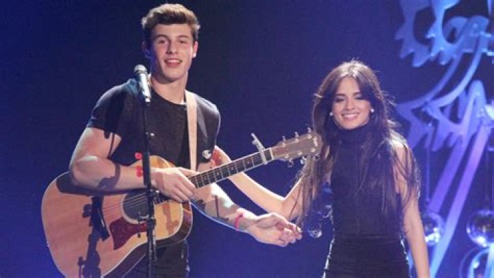 Camila Cabello Reveals Shawn Mendes Is Teaching Her How To Play Guitar & She’s Teaching Him Spanish