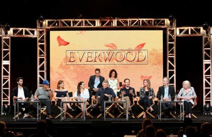‘Everwood’ Reunion At TCA — Pics Of Cast Together 15 Years Later – Hollywood Life