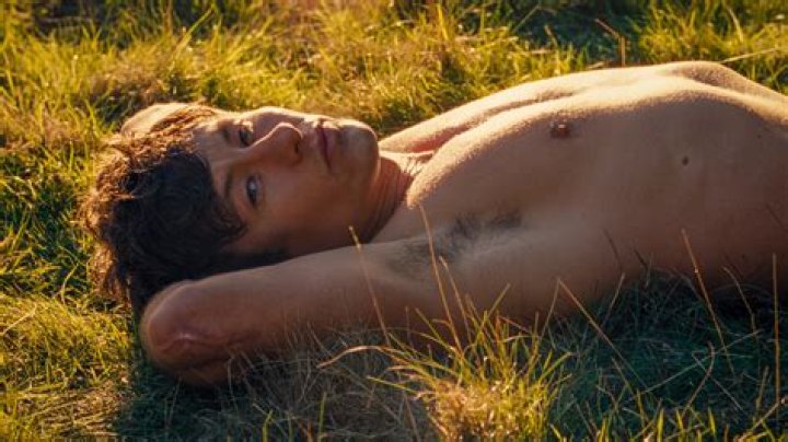 Full Frontal Scene Isn’t Something In Joshua Jackson’s Future – Hollywood Life