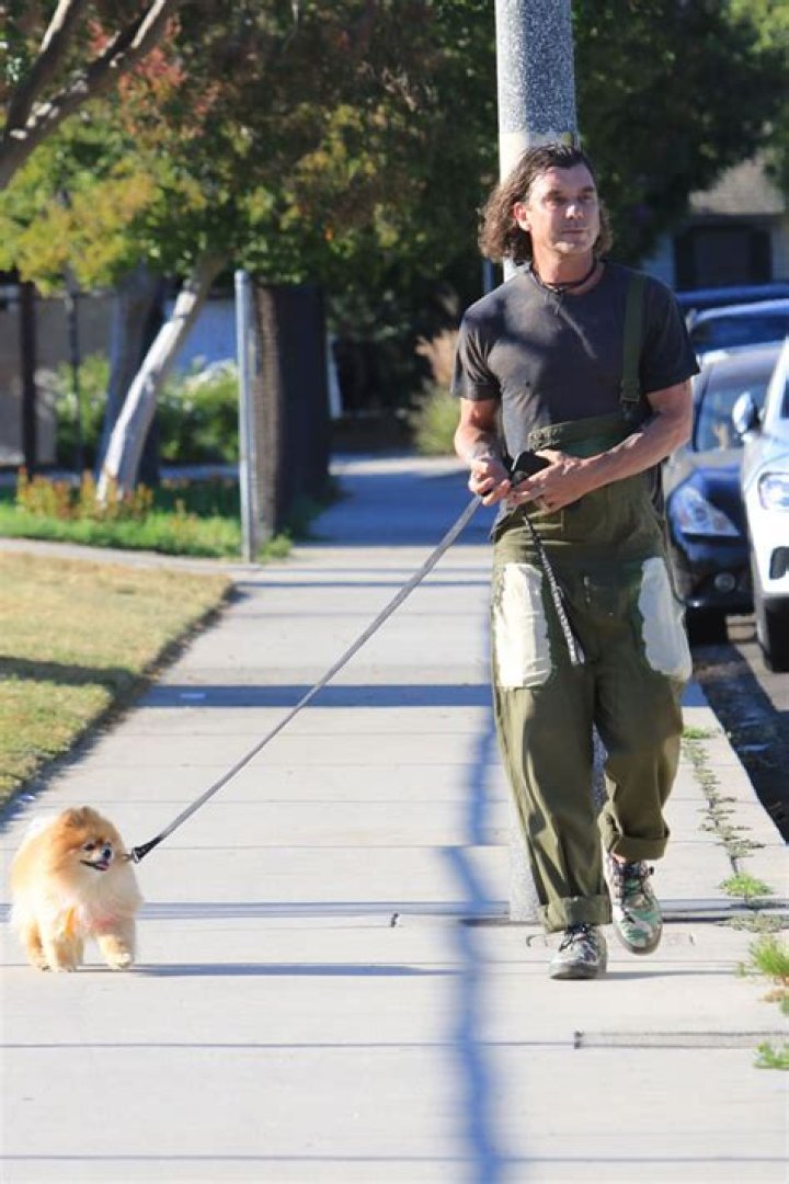 Gavin Rossdale Walks Dog Alone Amid Gwen Stefani Wedding Speculation – Hollywood Life