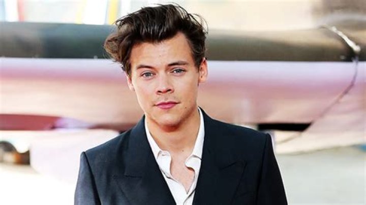 Harry Styles News, Music, Photos And Videos – Hollywood Life