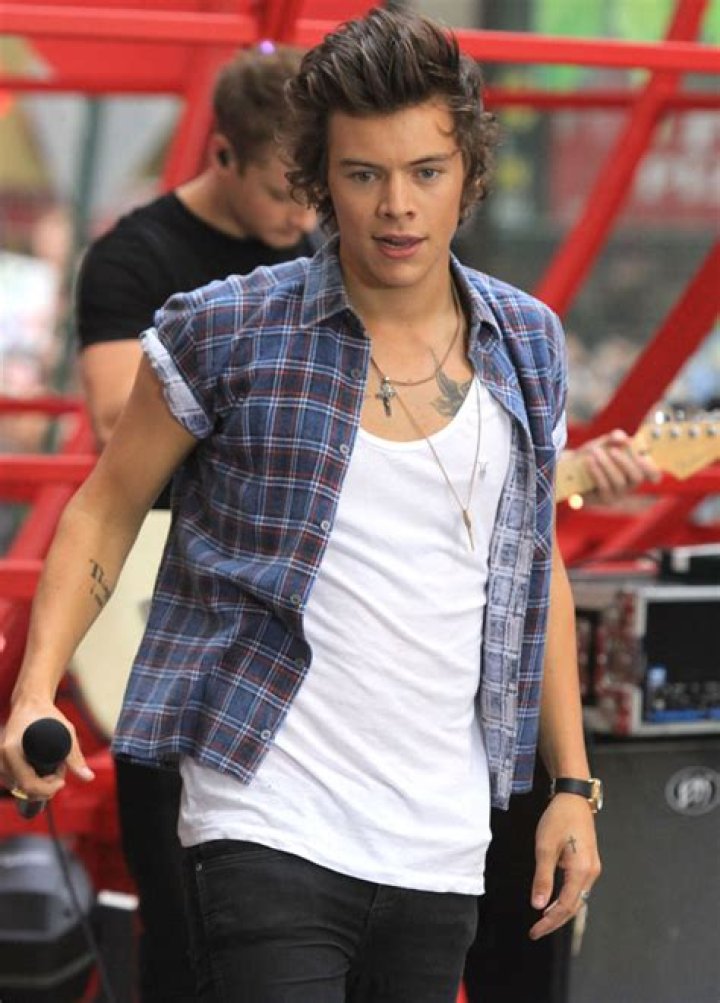 Harry Styles Talks Girls & Sophistication — We Like ‘Tea & Bisquits’ – Hollywood Life