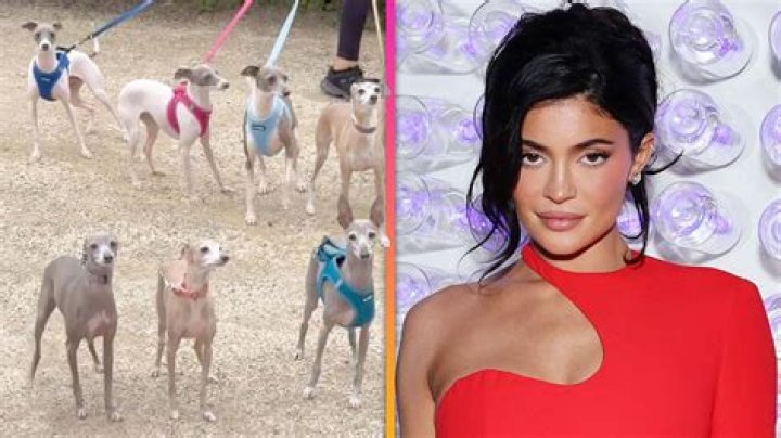 Kylie Jenner Has A New Dog? She Shares Pics Of Puppy Named Kevin – Hollywood Life