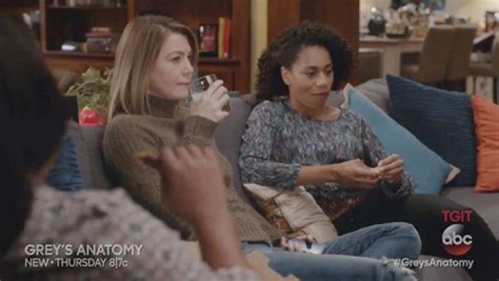 Meredith Seeks Therapy — Season 12 Episode 10 Recap – Hollywood Life