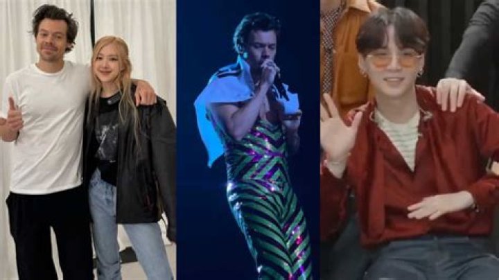 Natalia Bryant’s All Smiles Partying With Friends At Harry Styles Concert — Photo