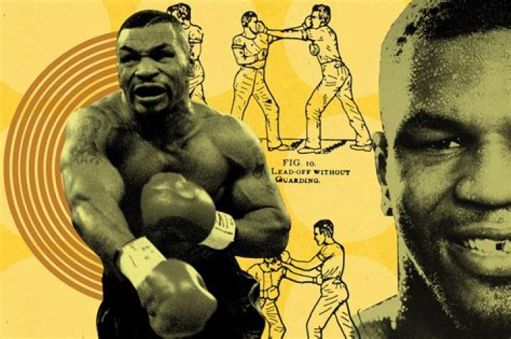 Pics Of The Boxer – Hollywood Life