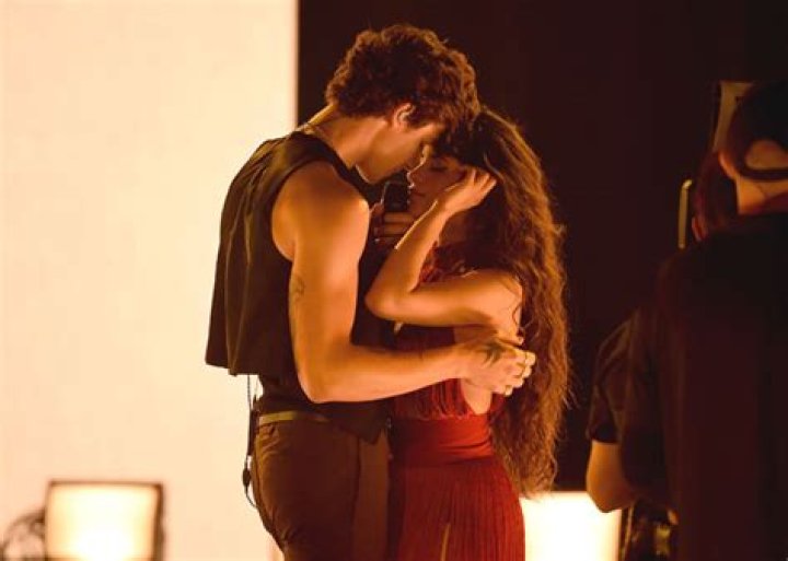 Shawn Mendes Reveals: ‘I Did Raise My Voice At’ Camila Cabello During A Recent Fight — Watch