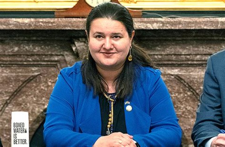 Who Is Oksana Markarova? 5 Things About The Ukrainian Ambassador – Hollywood Life